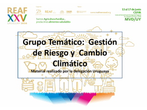 PresentaciAn_REAF_GT_CC_reseAa_de_los_hitos_principales