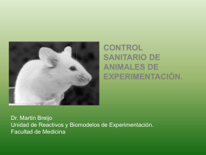 Diapositiva 1 - URBE - Facultad de Medicina