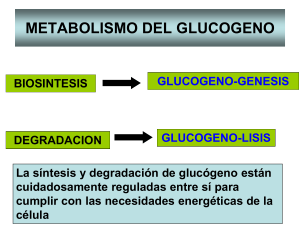 glucosa - quimicabiologicaunsl