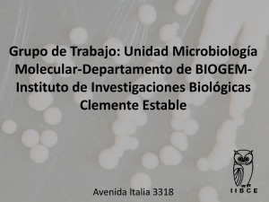 PRESENTACION DEL GRUPO DE TRABAJO LINEAS DE TRABAJO