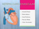 sistema circulatorio - Histologia UNAH-VS