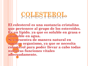 COLESTEROL