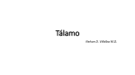 Tálamo - Icesi