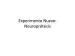 Experiment Nine: NeuroProsthetics