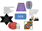 Diapositiva 1 - genetica2012
