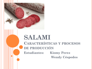SALAMI Características y procesos de producción