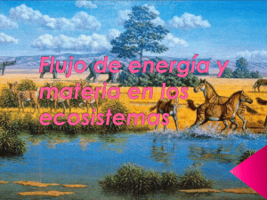 Flujo de energía y materia en los ecosistemas