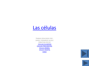 Las células