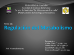Regulación Del Metabolismo