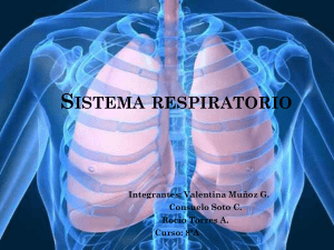 grupo 6.. trabajo de el sistema respiratorio
