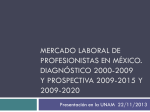 Mercado laboral de profesionistas en México. Diagnóstico 2000