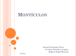 Montículos