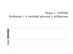 Tema iv cavidad pleural y pulmones