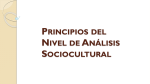 Principios del Nivel de Análisis Sociocultural
