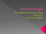 Microbiología - WordPress.com