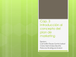 Cap. 3 Introducción al concepto del plan de marketing