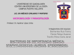 Bacterias de importancia médica: staphylococcus (aureus