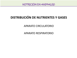 Sistemas circulatorio y respiratorio