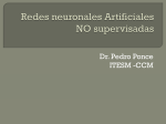 Redes neuronales Artificiales NO supervisadas