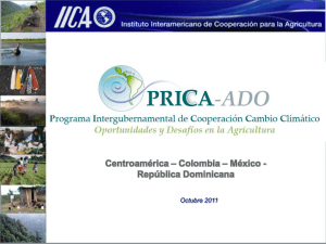 CAC_17 de Marzo - pincc