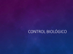 Control Biologico - Colegio Los Aromos