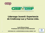 Liderazgo Juvenil: Experiencia de Credicoop Luz y Fuerza Ltda.