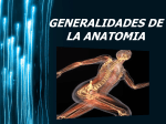 Anatomía - Delegado Junior Udo Bolivar