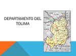 presentacion historia del desarrollo TOLIMA
