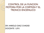 control de la funcion motora por la corteza y el tronco encefalico