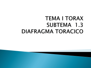 1.3 DIAFRAGMA TORACICO, vasos y nervios, movimientos y