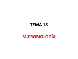 tema 18 microbiologia – virus