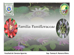 Familia Passifloraceae