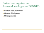 Bacilos Gramnegativos no Fermentadores de la Glucosa Objetivo