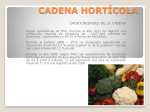 0_Tips_Cadena_Horticola_2013