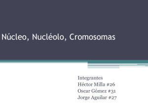 Diapositiva 1 - biologialasalle4-3