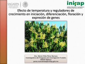 Presentaci&oacute;n de PowerPoint