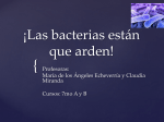 bio-7-u1-pre-clase_3.bacterias