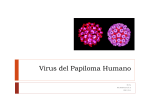 C-15 Virus del Papiloma Humano y adenovirus