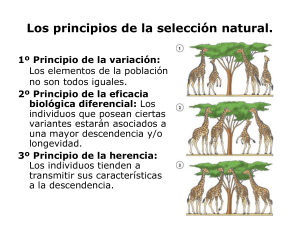 Los principios de la selección natural.