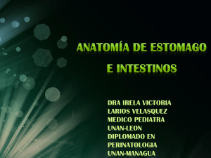 Presentación de PowerPoint - Medicina-Cirugia UCAN-León