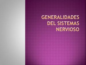 Generalidaes del sistemas nervioso terminado