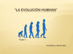 la evolución humana