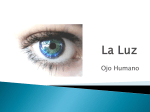 La Luz_ ojo humano
