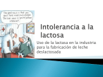 Intolerancia a la lactosa - Proyectogrupo4sesion2011