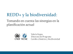 REDD+ y la conservación de biodiversidad
