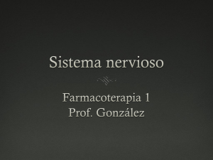 sistema nervioso