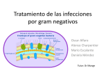 Presentación - medicina