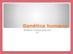 Genética humana - IHMC Public Cmaps (3)