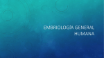 embriología general humana