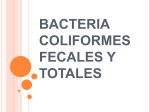 bacteria coliformes fecales y totales